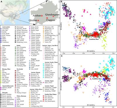 Fine-Scale Genetic Structure and Natural Selection Signatures of Southwestern Hans Inferred From Patterns of Genome-Wide Allele, Haplotype, and Haplogroup Lineages